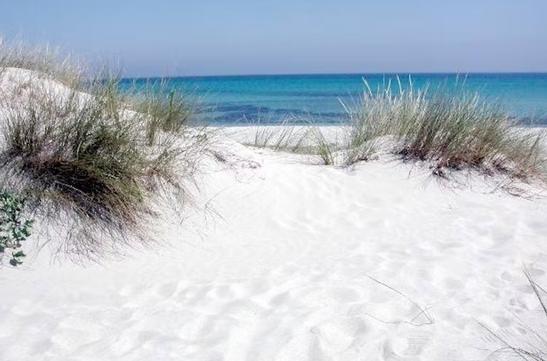 Capo Comino è anche un'ottima meta per gli amanti delle attività all'aria aperta, come il trekking lungo i sentieri che attraversano le dune, il birdwatching e la pesca sportiva. Inoltre, grazie alla sua posizione strategica, Capo Comino rappresenta un punto di partenza ideale per visitare altre località della Sardegna orientale, come la spiaggia di Berchida e il Golfo di Orosei